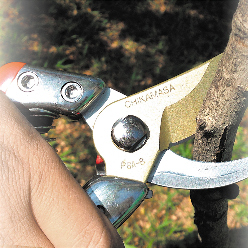 Metal Pruning Shears For Professional Psa-g8