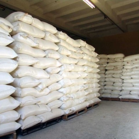 Wheat Flour For Sale