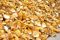 नींबू के छिलके की सामग्री: जड़ी बूटी