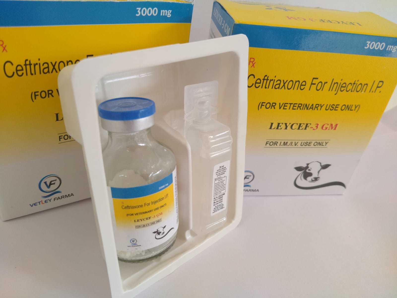 Ceftriaxone 3000 Mg Injection In Pcd Farnchise Ingredients: Chemicals