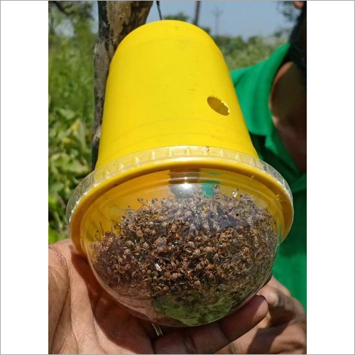 Fruit Fly Pheromone Trap - Plastic Material | Effective Pest Control For Agricultural Use, Specially Designed For Fly Trapping