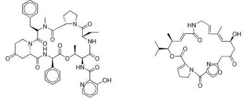 Pristinamycin (Pristinamycine)