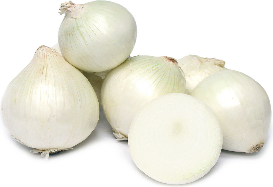 Fresh Onions Moisture (%): Natural