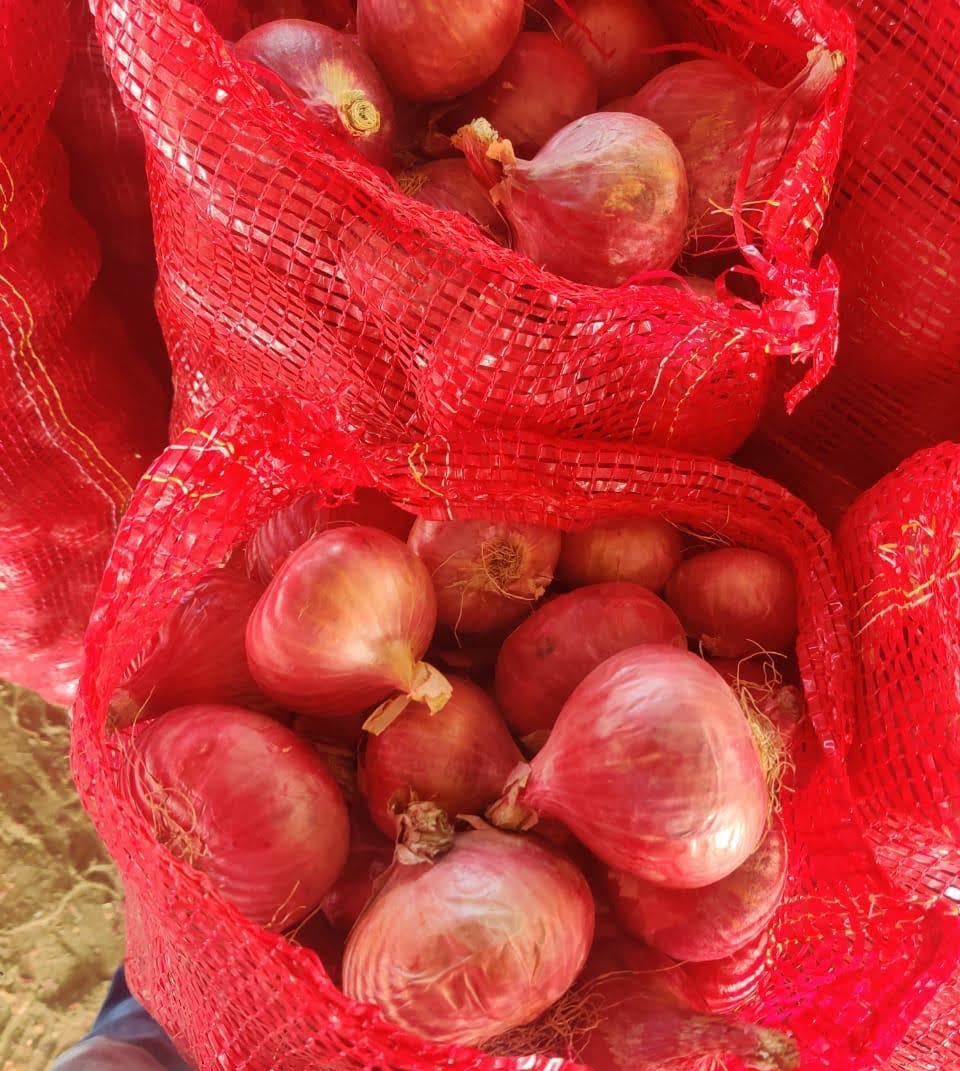 Fresh Onions Moisture (%): Natural