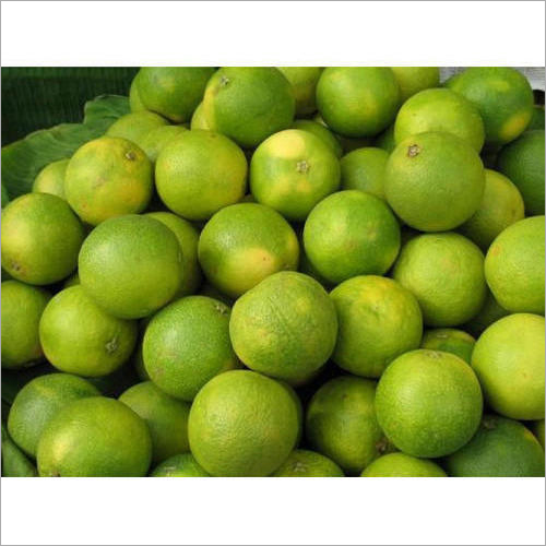 ताज़ा मोज़ाम्बी