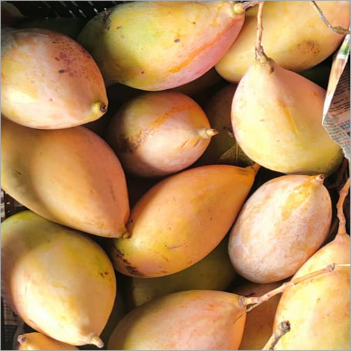 फ्रेश मैंगो