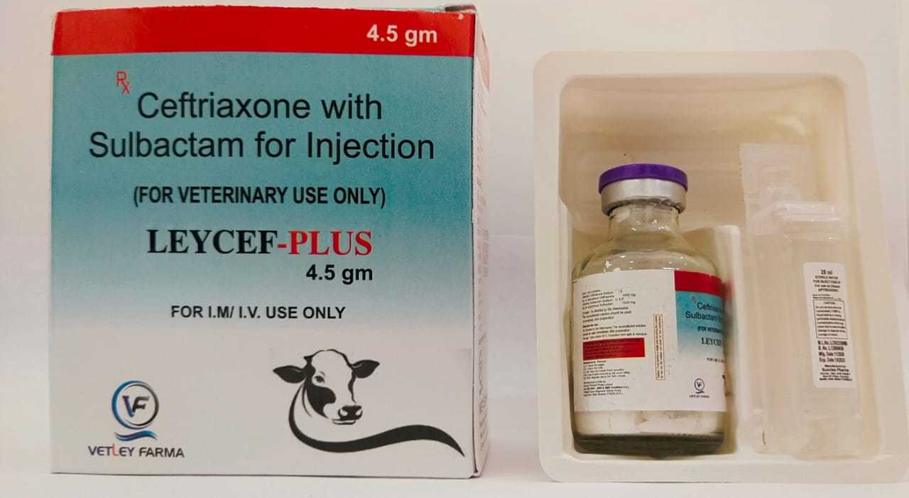 Dry Veterinary Injectable Products Ingredients: Chemicals