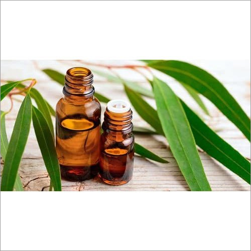 Eucalyptus Oil Purity: 100%