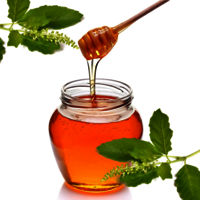 Basil (Tulsi) Honey