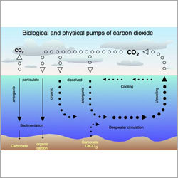 पानी Co2