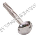 Medium Size Mirror Screw