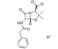 Potassium benzylpenicillin(Penicillin G potassium salt)