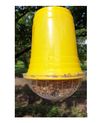 Fruitfly Control Trap System - Transparent Tumbler Design, Me Blended Lure In Vial With Wick, Multi-season Application For Mango, Guava, Citrus Crops, Yellow Color, Packaged In Cartoon Box