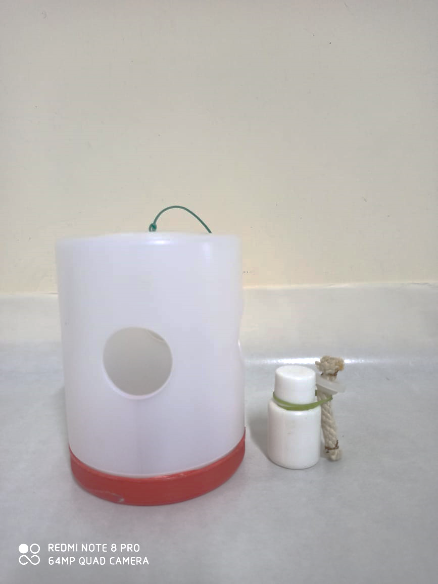 Mango Guva Citrus Fruitfly Jar Trap With Me Lure In Vial