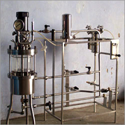In Situ Fermentor