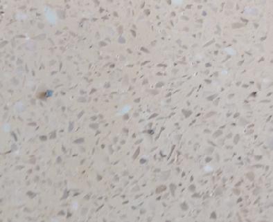Square Edge Mosaic Tiles
