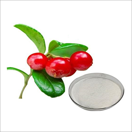 Alpha Arbutin For Skin Serum