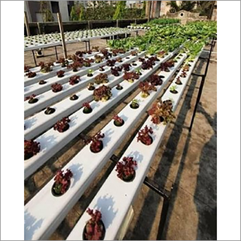 120 Plant Hydroponic System Base Material: Upvc