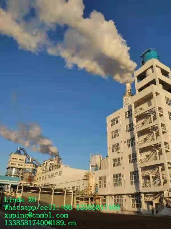 Detergent Powder Production Line Chemical Industry