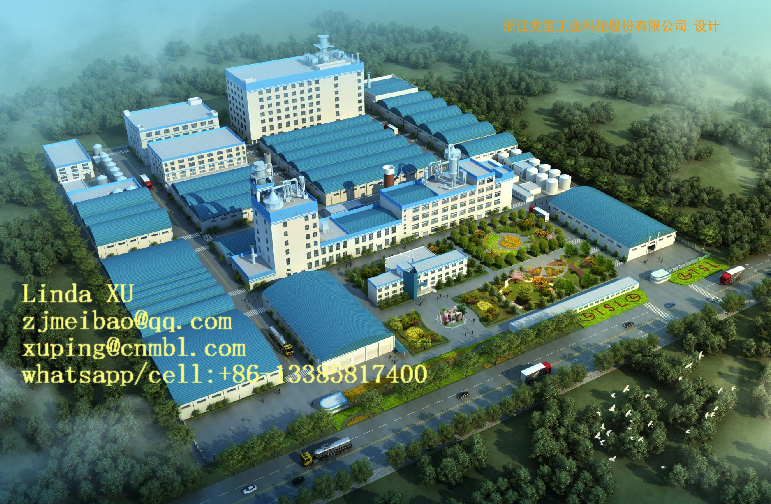 Detergent Powder Plant Chemical Industry