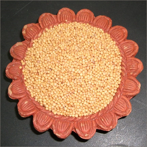 White Mustard Seeds - Grade A, Ivory White Color | Premium Quality, High Nutritional Value, Ideal for Medicinal Use