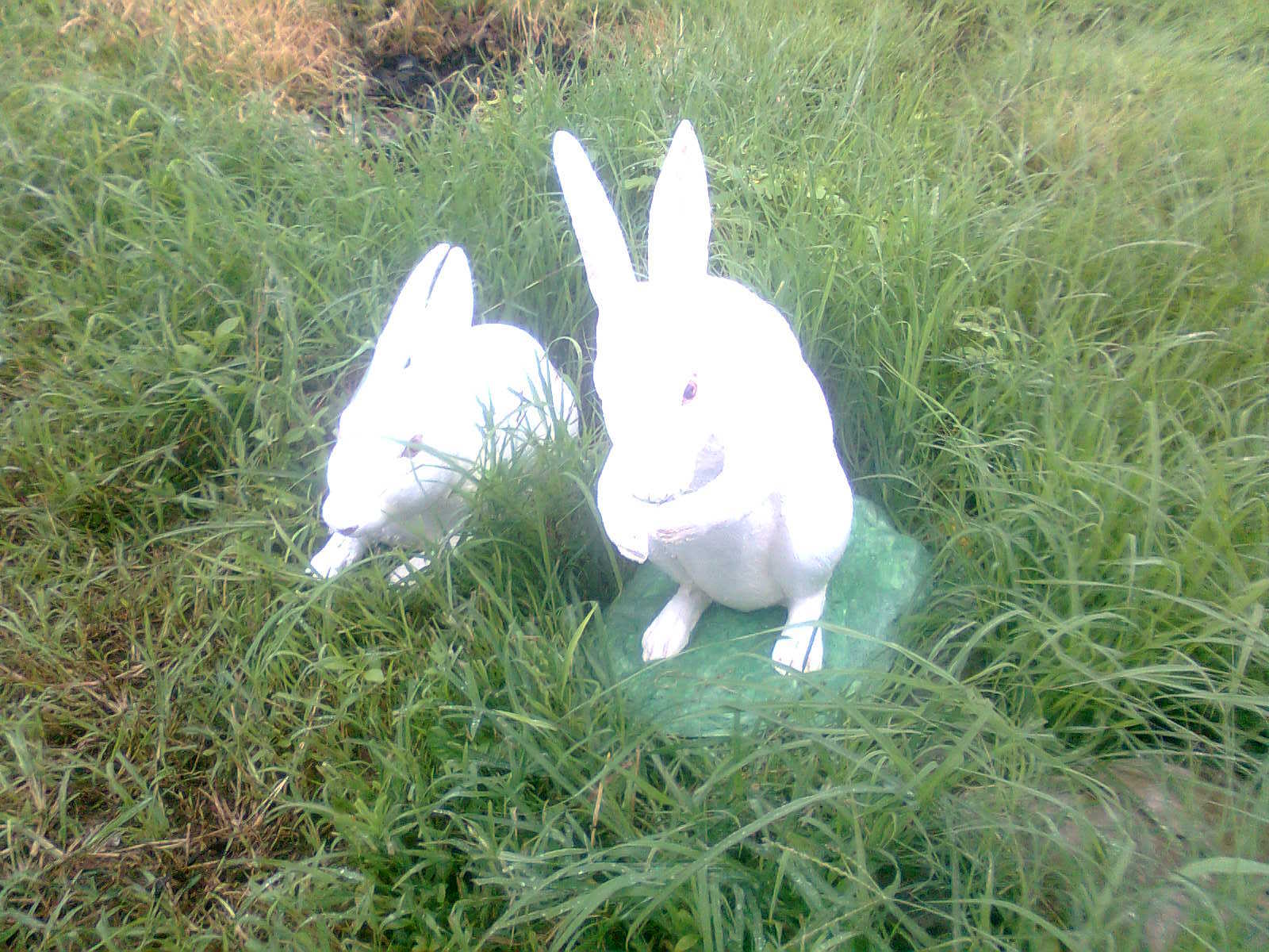 Standing Rabbit Frp Statue