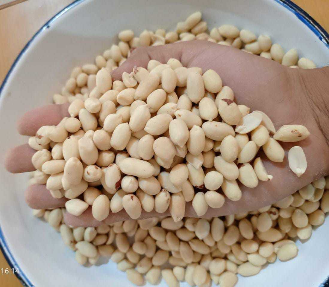 Whole Blanched Peanuts - Natural Dry, Off-white Color | Aflatoxin Free, Low Moisture, Bulk Bag For Snacking, Cooking, & Ingredient Use
