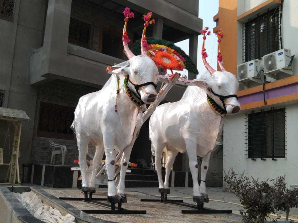 White Frp Ox Statue