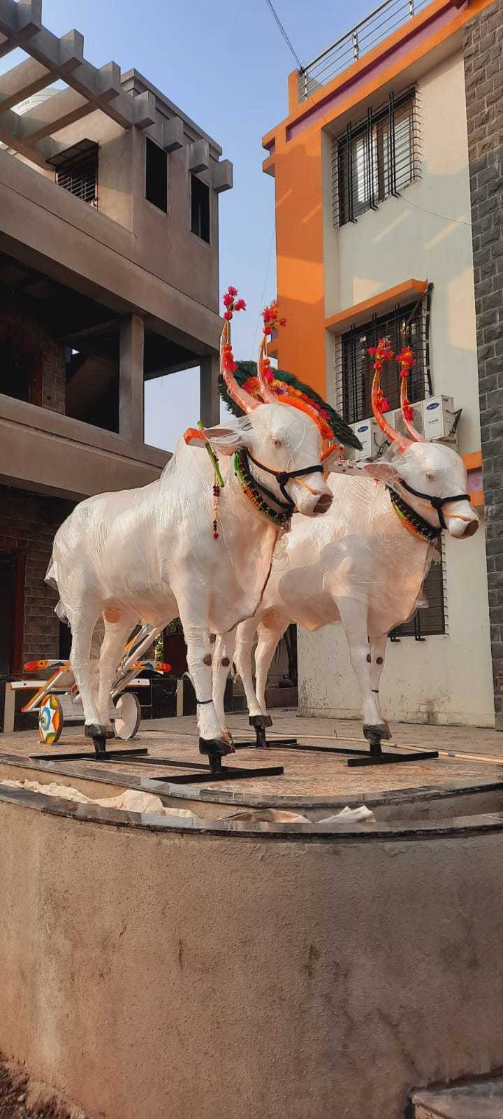 White Frp Ox Statue