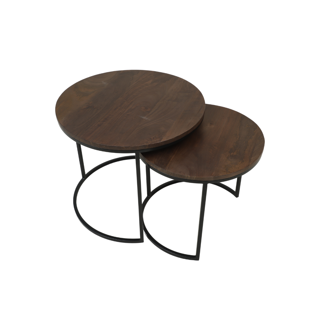 Handmade Set Of 2 Modern Coffee Table