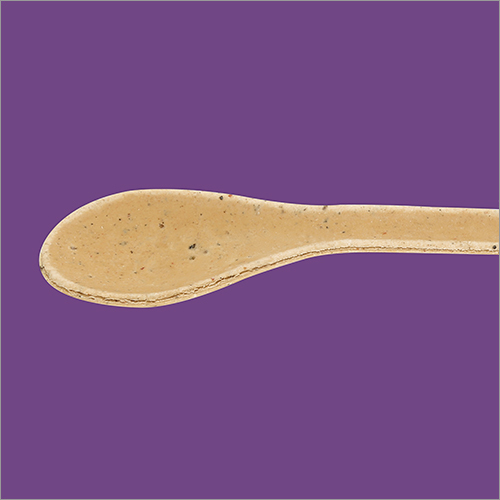 Polished Masala Edible Spoon