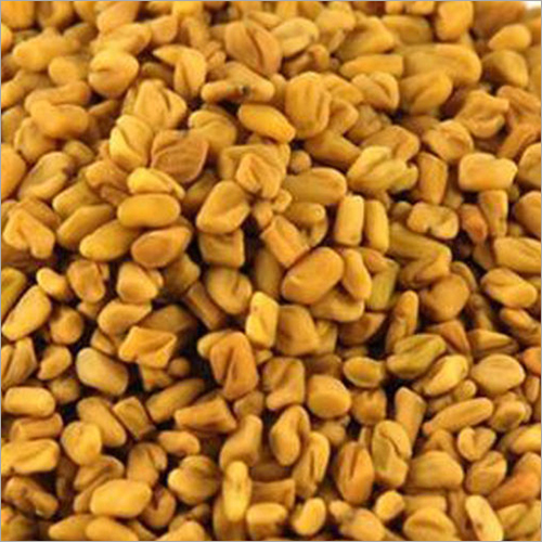 Fenugreek Seeds - Yellow Granules, Dried Raw Seeds in Natural Form