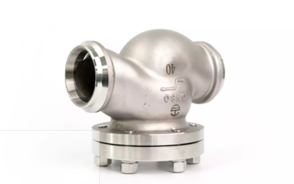 Cryogenic Check Valve Dh 80