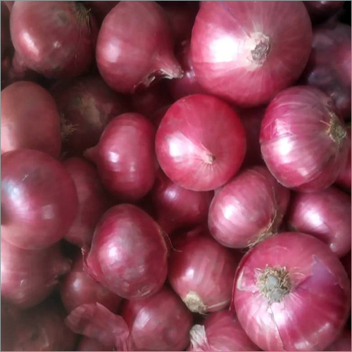 Red Onion