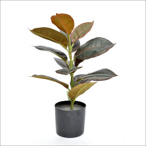 Washable 1.75 Feet Artificial Rubber Plant