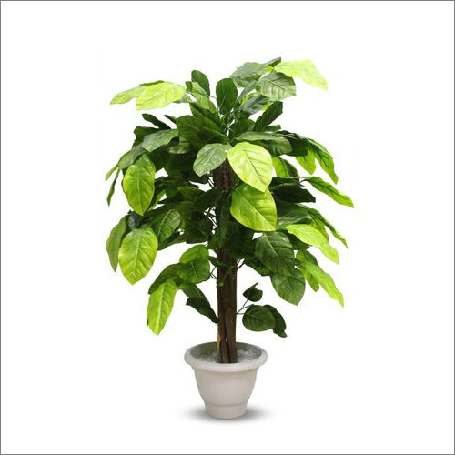 Washable 12 Feet Pe Artificial Plant