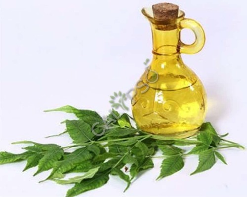 Neem Oil - 100% Pure Semi-Solid Hydrophobic Extract, Nutrient-Rich with Pungent Earthy Aroma for Skin Conditions