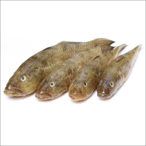 Bele Fish - Whole, Varieties: Bele & Other , Rich in Vitamins A, B1, B2, B5, B6, Biotin, Folic Acid, & B12 for Nutritional Excellence