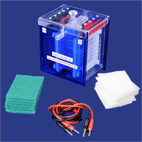 Plastic Mini Electrophoresis System