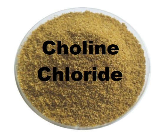 Choline Chloride - Cas No: N/a