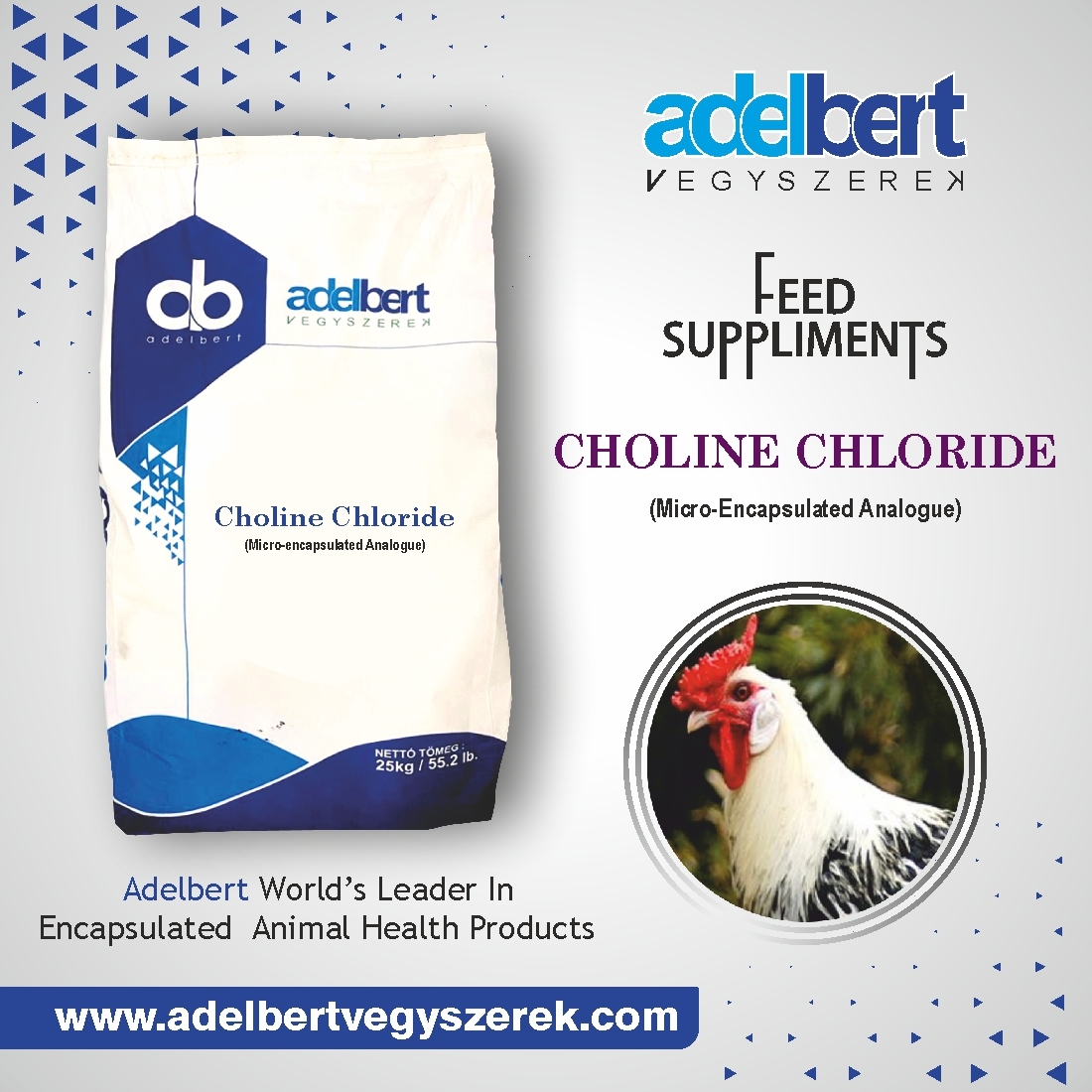 Choline Chloride - Cas No: N/a