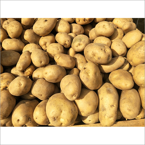 Fresh Potato - Seasoned Flavor Profile | Ideal For Culinary Applications And Unique Taste Enhancements