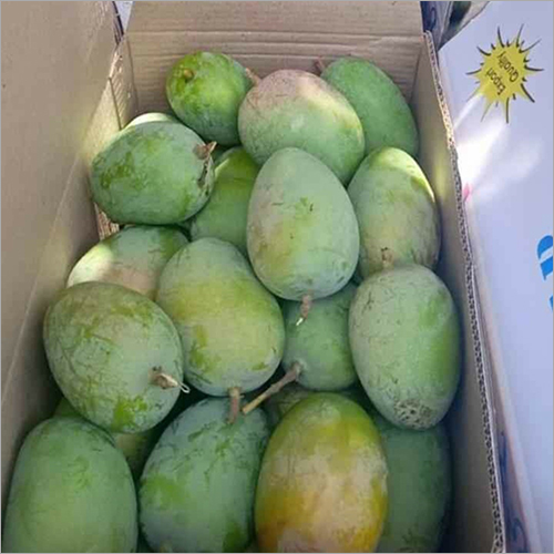 Kesar Mango