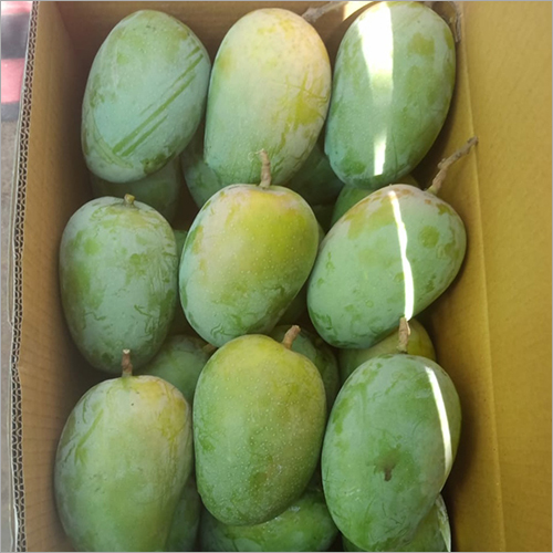 Kesar Mango