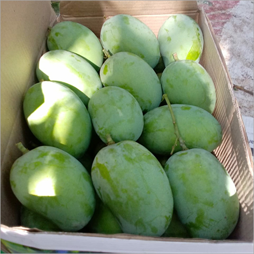Kesar Mango