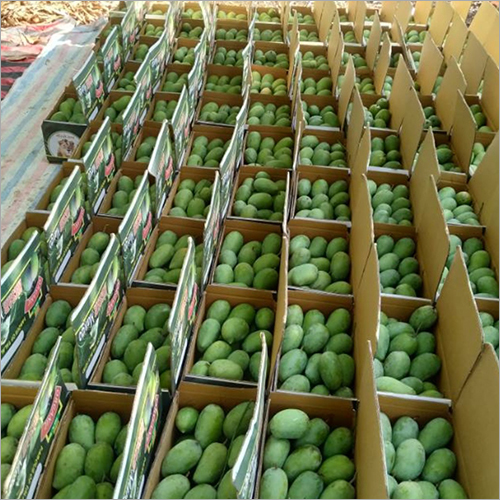 Kesar Mango