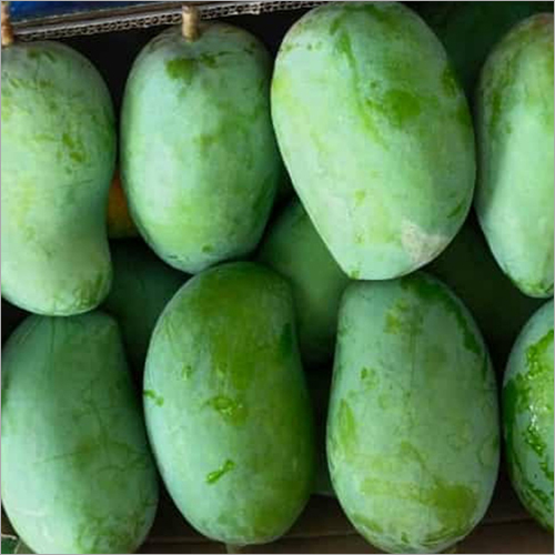 Kesar Mango