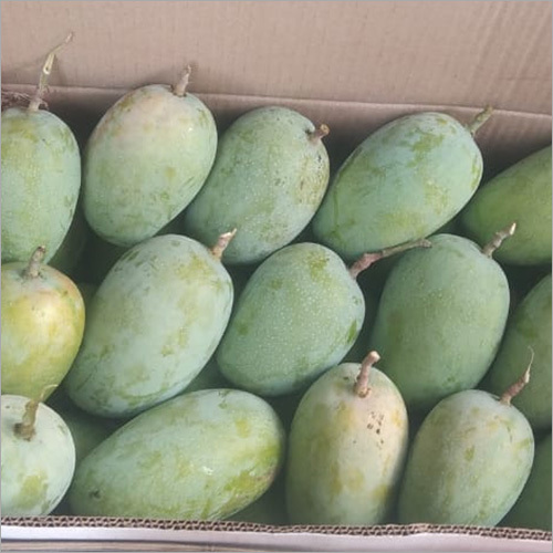Kesar Aam