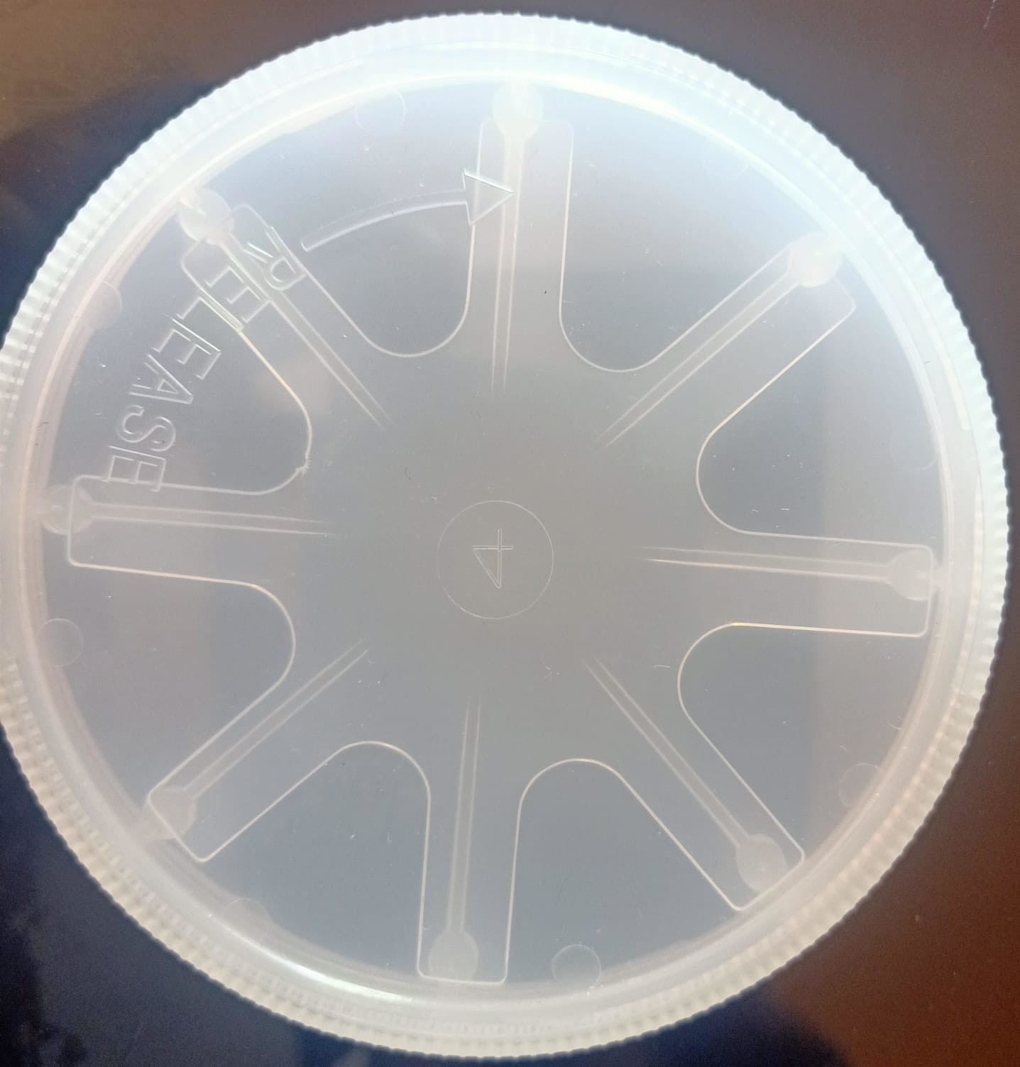 Transparent Silicon Wafer Carrier Box Polypropylene Material