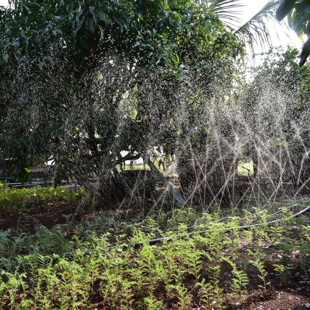 Black Rain Pipe 32 Mm Sprinkle Irrigation Pipe Laser Spray Rain Hose